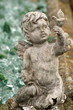 cherub angel