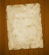 Old torn paper. Vector grunge background. Eps8 (object-group)