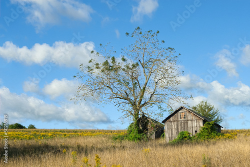 Photo: Tranquil Rural Landscape Tranquil Rural Landscape
