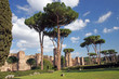 Roman public baths
