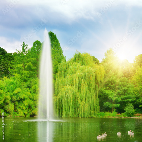 Photo: large fountain in the lake sunlit large fountain in the lake sunlit