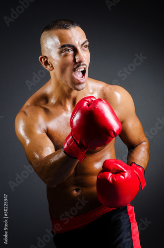 Photo: Muscular boxer in studio shooting Muscular boxer in studio shooting