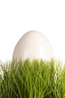 Weißes Ei im Gras Nest - Ostern - Easteregg in green gras