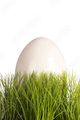 Photo: Weißes Ei im Gras Nest - Ostern - Easteregg in green gras Weißes Ei im Gras Nest - Ostern - Easteregg in green gras