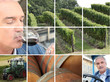 Montage of wine production