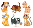 Lovable pets
