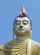Photo: Buddha at wewurukannala Vihara temple in Sri Lanka Buddha at wewurukannala Vihara temple in Sri Lanka