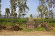 Photo: Rural Punjab Rural Punjab