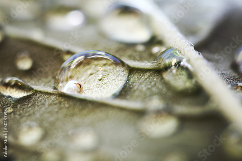 Photo: water drop macro water drop macro