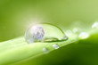 Microworld