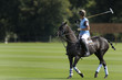 Joueur Polo