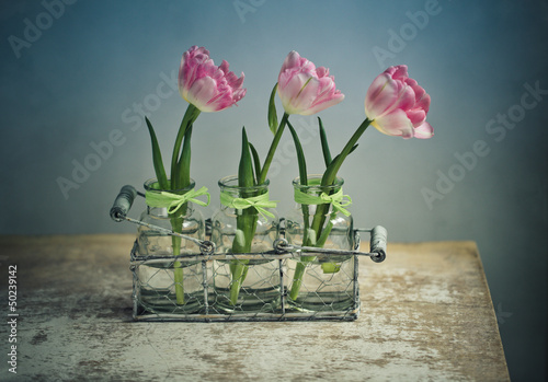 Photo: Rosa Tulpen Rosa Tulpen