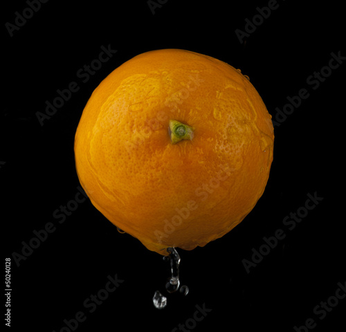 Photo: orange orange