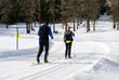 Nordic ski in Val Fiscalina