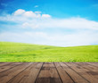 grass, sky and floor