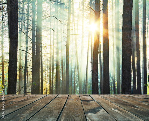 Photo: sunset and floor sunset and floor