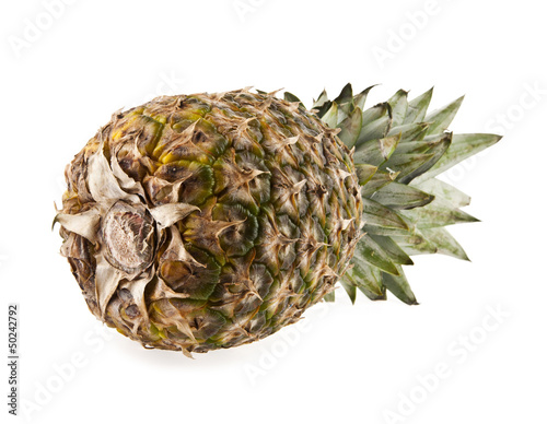 Photo: pineapple pineapple