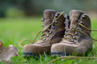 Wandern