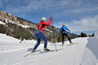 Langlauf Paar Skating
