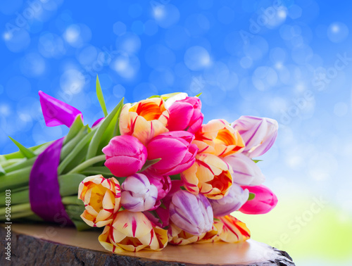 Photo: blumen blumen