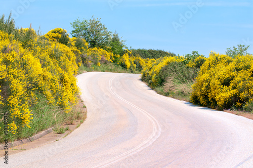 Photo: Roadside Roadside