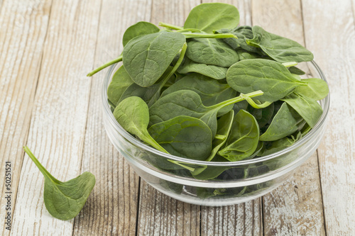Photo: bowl of baby spinach bowl of baby spinach