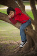 Photo: bambino arrampico sull'albero bambino arrampico sull'albero