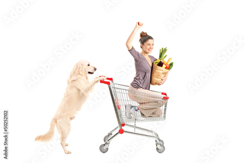 Photo: White retriever dog pushing a woman in a shopping cart White retriever dog pushing a woman in a shopping cart