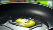 Raw egg falls on the pan