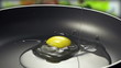 Raw egg falls on the pan