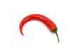 a delicate bright red chilli