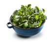 Valerianella salad