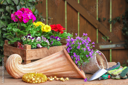 Photo: Füllhorn, Blumen und Gartenwerkzeug Füllhorn, Blumen und Gartenwerkzeug
