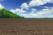Farm field