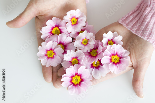 Photo: Frau hält Blumen Frau hält Blumen