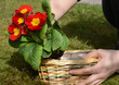Gartenarbeit
