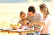 Family at picnic