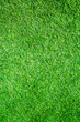 Artificial Grass Field Top View Texture