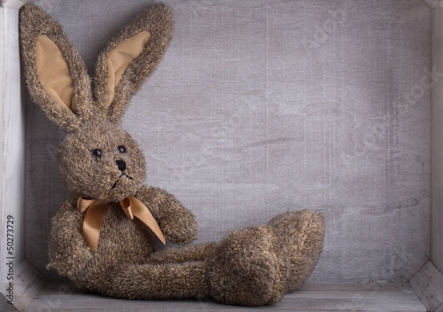 Photo: hase hase