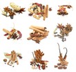 Collections of Spices