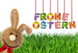 Osterhase wünscht Frohe Ostern