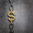 Chain link dollar
