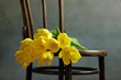 Foto: Stillleben mit gelben Tulpen Stillleben mit gelben Tulpen