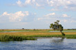 Fiume zambesi