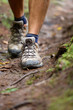 Photo: Hiker - hiking shoes closeup from hike walk Hiker - hiking shoes closeup from hike walk