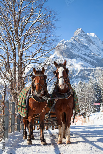 Photo: Winter in the alps Winter in the alps