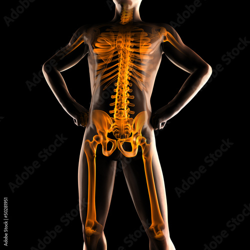 Illustration: human radiography scan human radiography scan