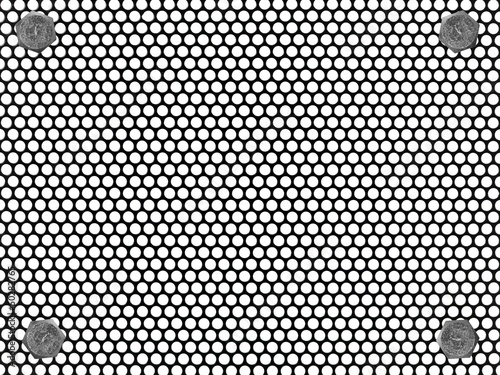 Photo: Mesh Mesh