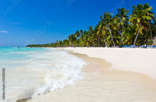 Photo: tropical beach tropical beach
