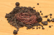 red worms in compost - bait for fishing
